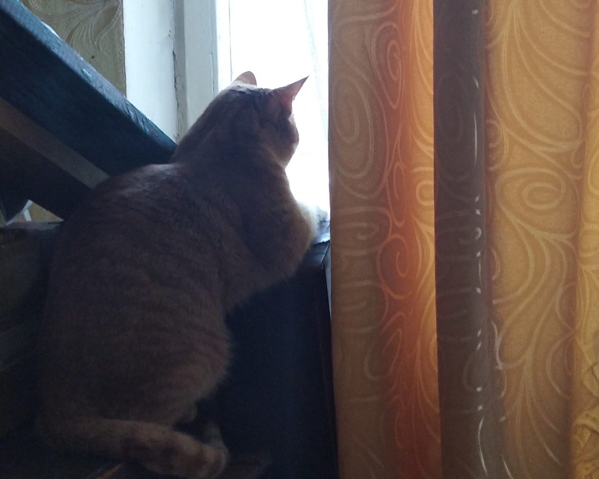 личное фото