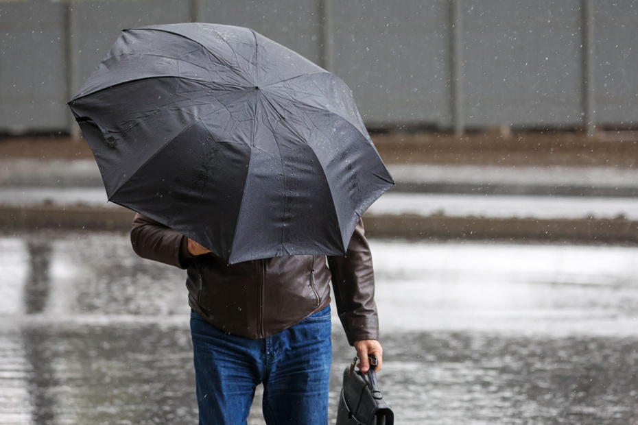    Алексей Белкин/NEWS.ru