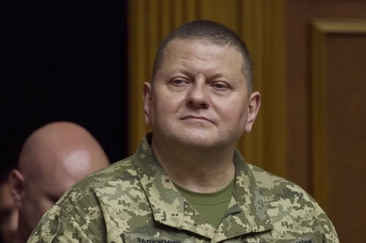    Шарий: Залужного хотели отравить по указанию офиса Зеленского