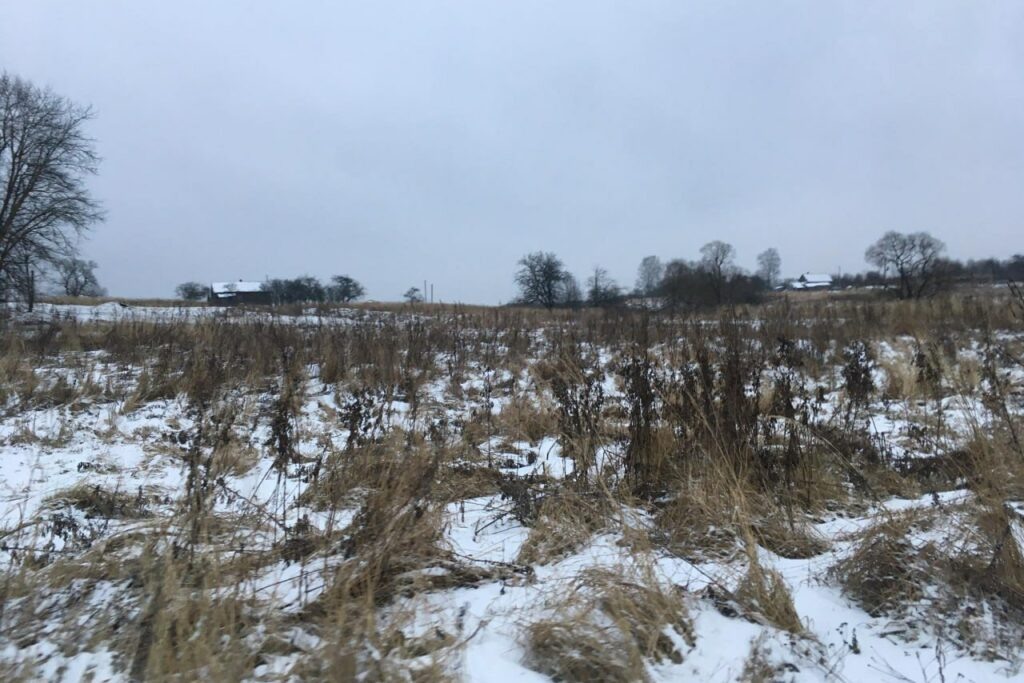    Фото: smolnarod.ru