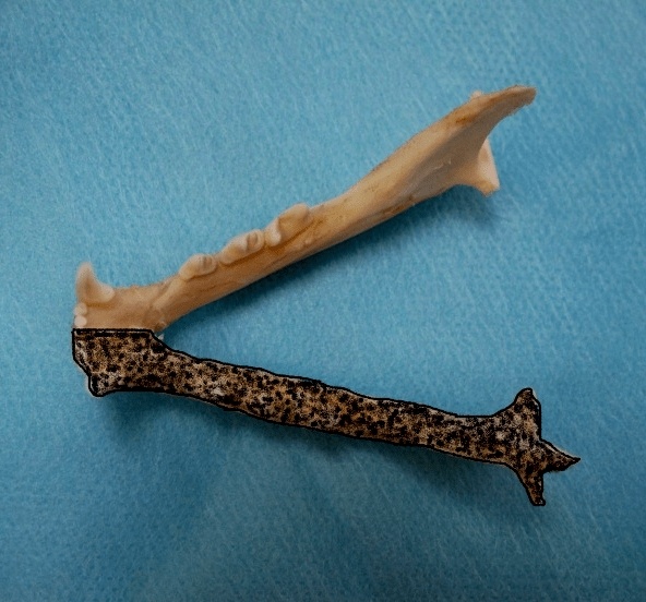 Создать карусель