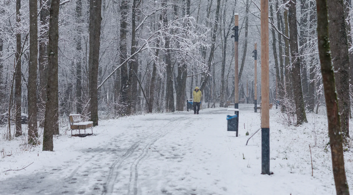 медиасток РФ