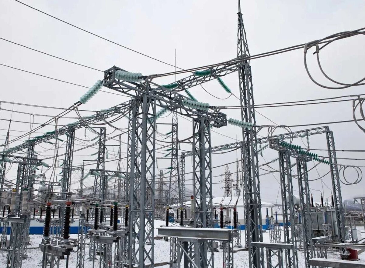    Фото: Правительство Ростовской области