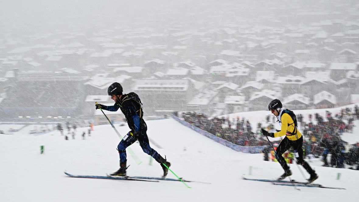 Филипповы на дистанции. фото: яндекс.