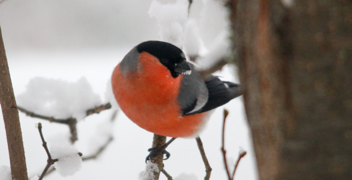    Фото: Минприроды России