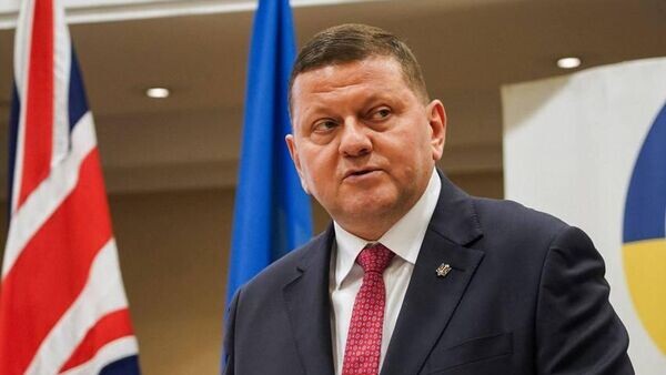    © Telegram Валерия Залужного