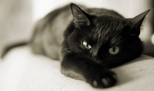 Создать карусель