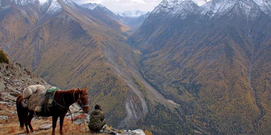 Как лошади помогают сохранять дикую природу Горного Алтая