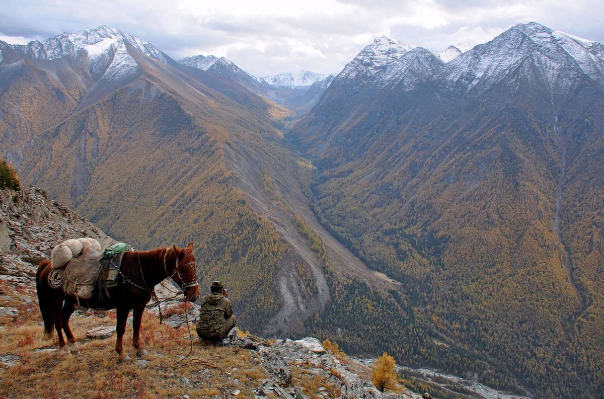 Юнгур - заповедное сердце Аргута. Сайлюгемский национальный парк. Фото Светланы Усановой.