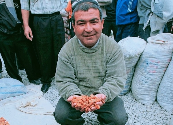 Из открытых источников в интернете.