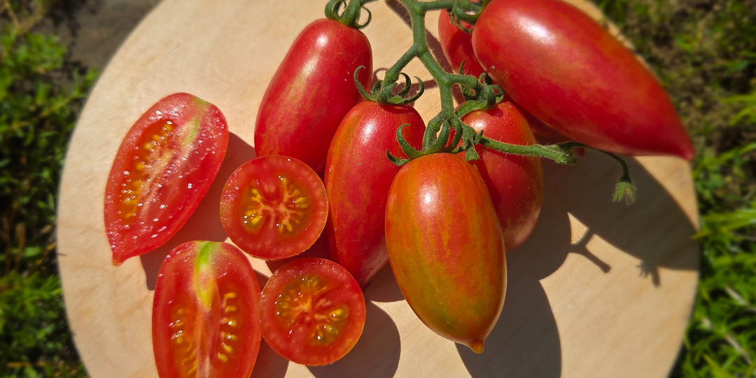 Выбор томатов, как ограничиться малым количеством?