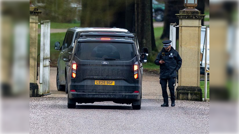 Фото: dailymail.co.uk