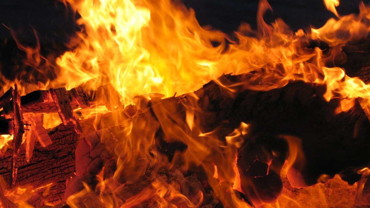    Фото: pxhere.com