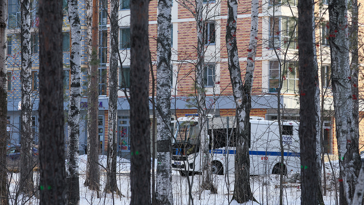   Донат Сорокин / ТАСС- Архивное фото