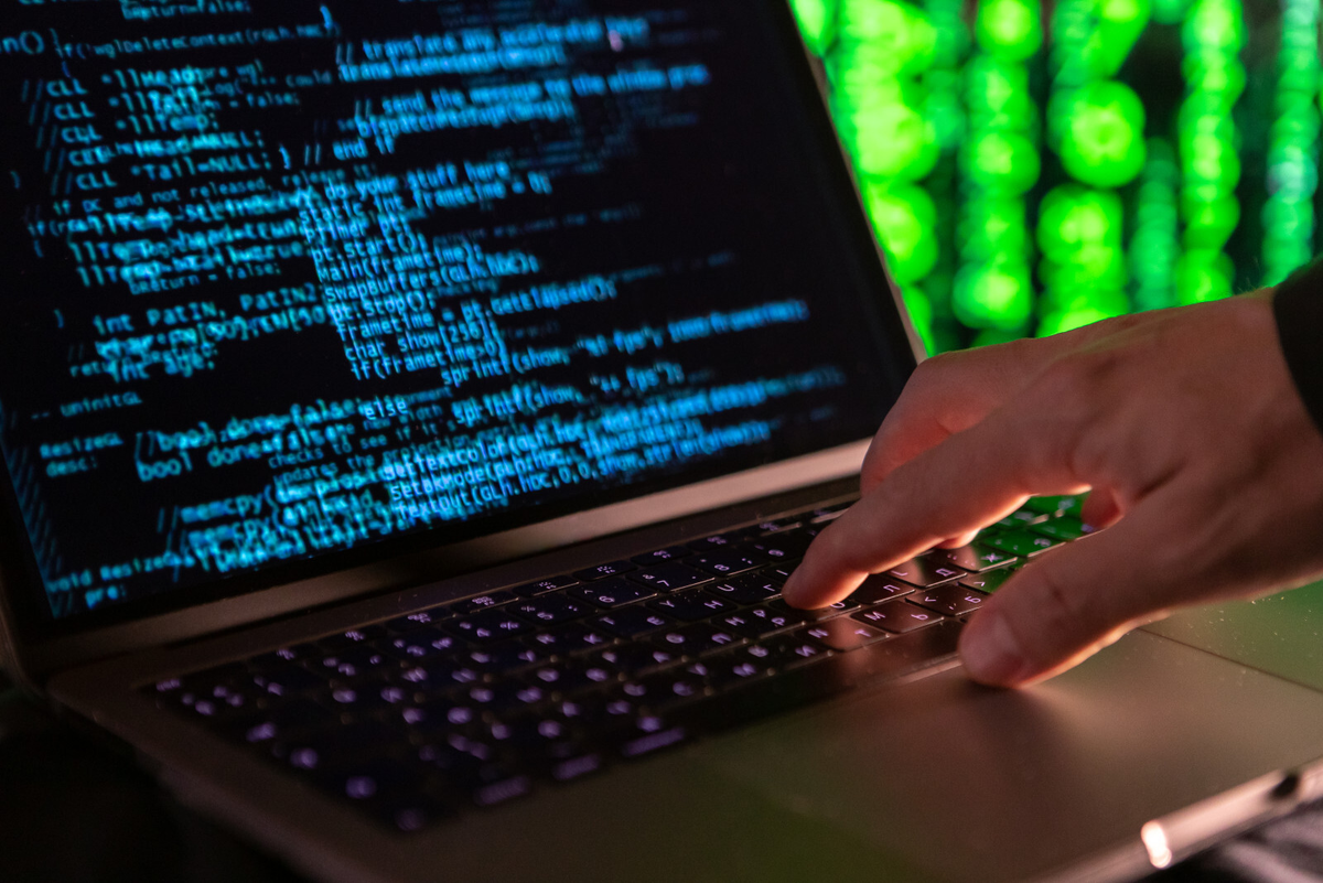 Фото: Олег Золото / «Петербургский дневник»