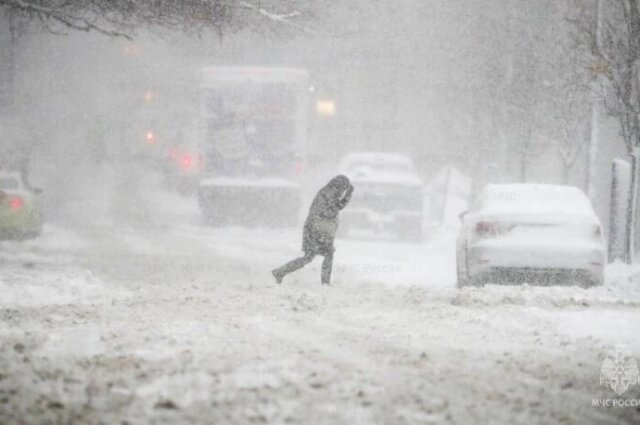    Фото: МЧС России