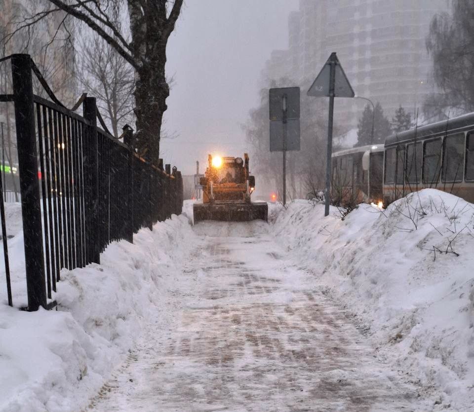    Фото: Администрация Городского округа Пушкинский