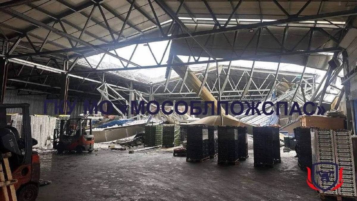    Фото: ГКУ МО Мособлпожспас / Telegram