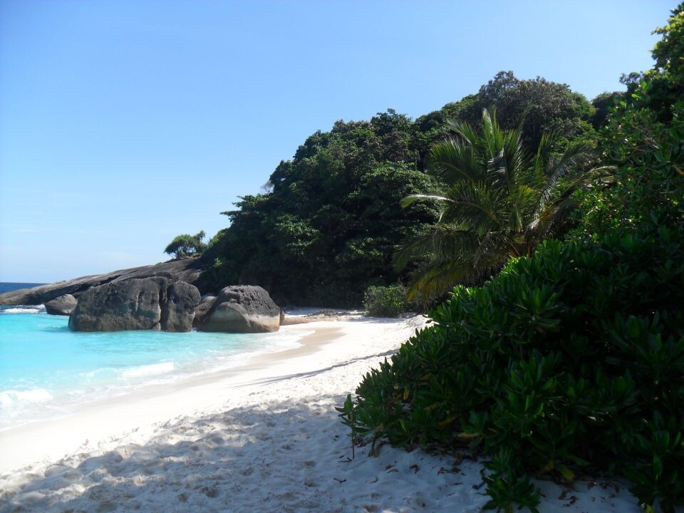    Таиланд. Источник: Олеся Веселкова / "Толк"