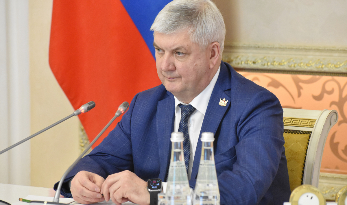     Александр Гусев. Автор: редакция. Фото: правительство ВО.