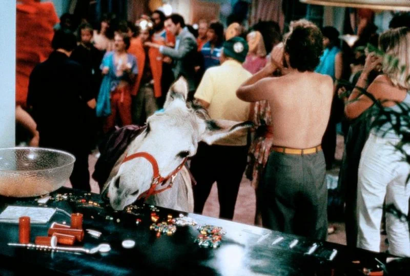 Ну, вечеринки за 30 тоже похожи на эти...только таблетки другие.