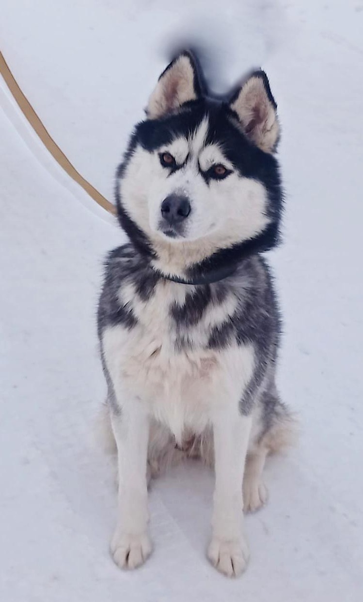 Одна из первых фоток, февраль 2024 г.