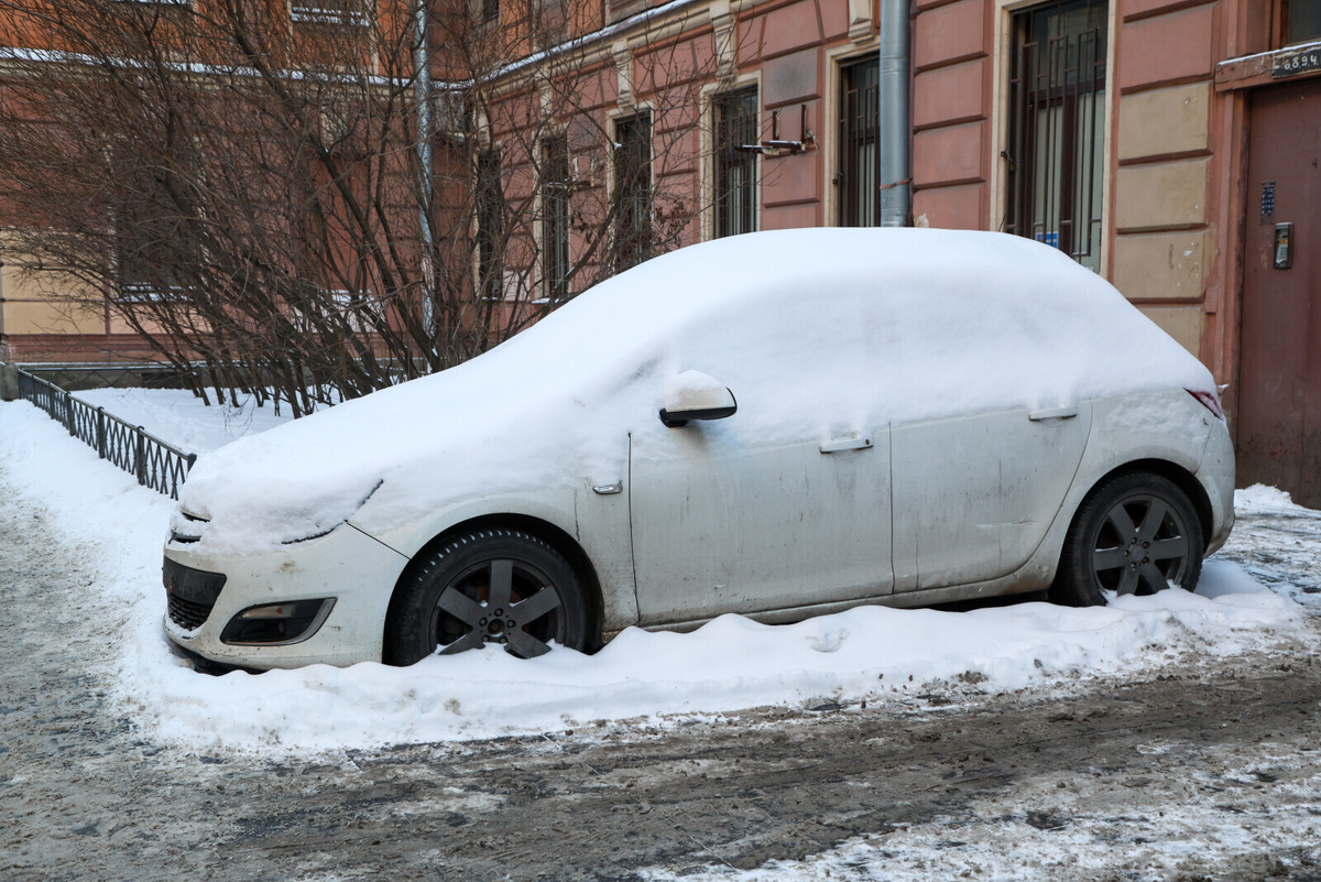 Фото: Олег Золото / «Вечерний Санкт-Петербург»