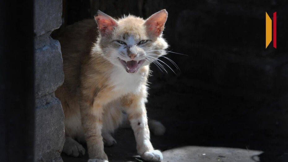    Автор фото: Андрей Архипов (из архива)