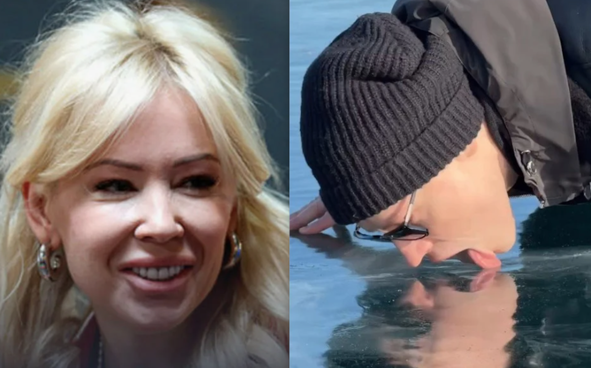 коллаж автора Мизулина и Дронов 