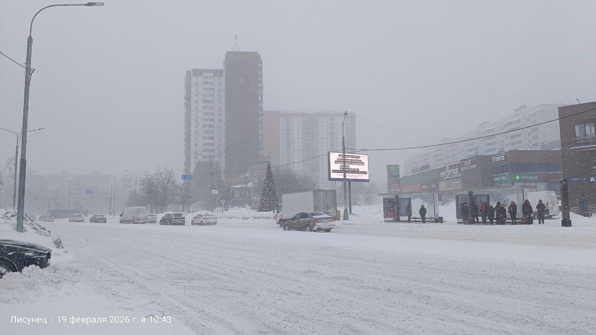 День. Фото автора