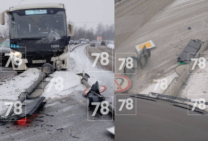 фото: 78.ru