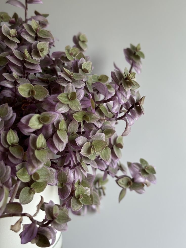 Фото из Pinterest