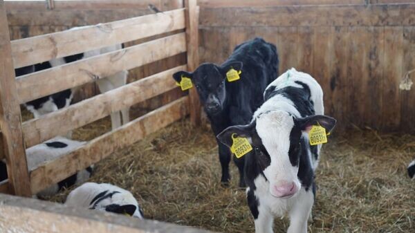    © Photo : Telegram / МВД Беларуси