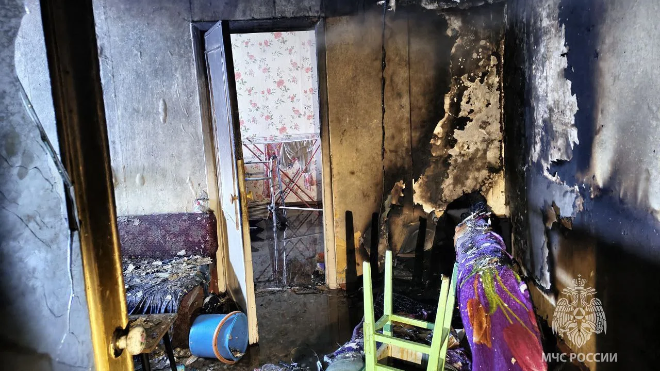 Фото: https://max.ru/id7839306722_gos/AZx2juCRbs0