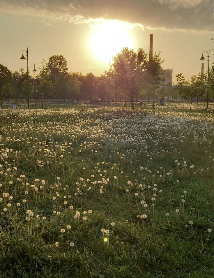 #романтика #любовь #студенты #май #ревность