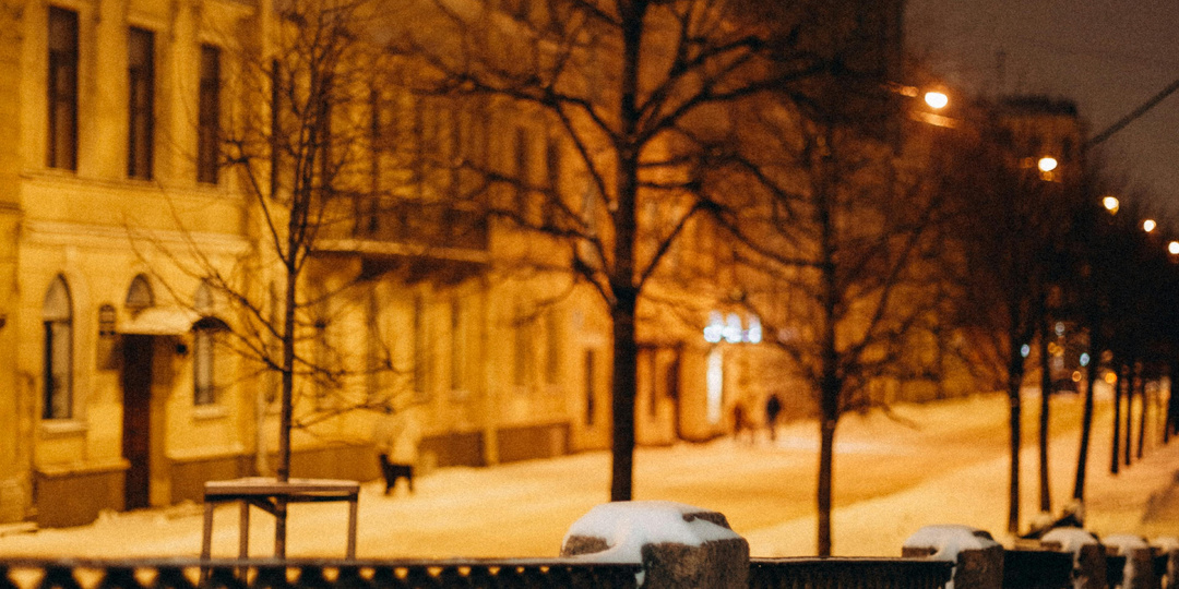 Как Петербург переосмыслит свои парки и набережные в 2026 году