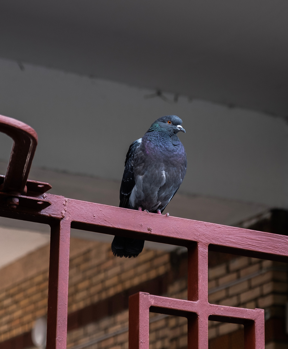     Даниил Князев/«Постньюс»