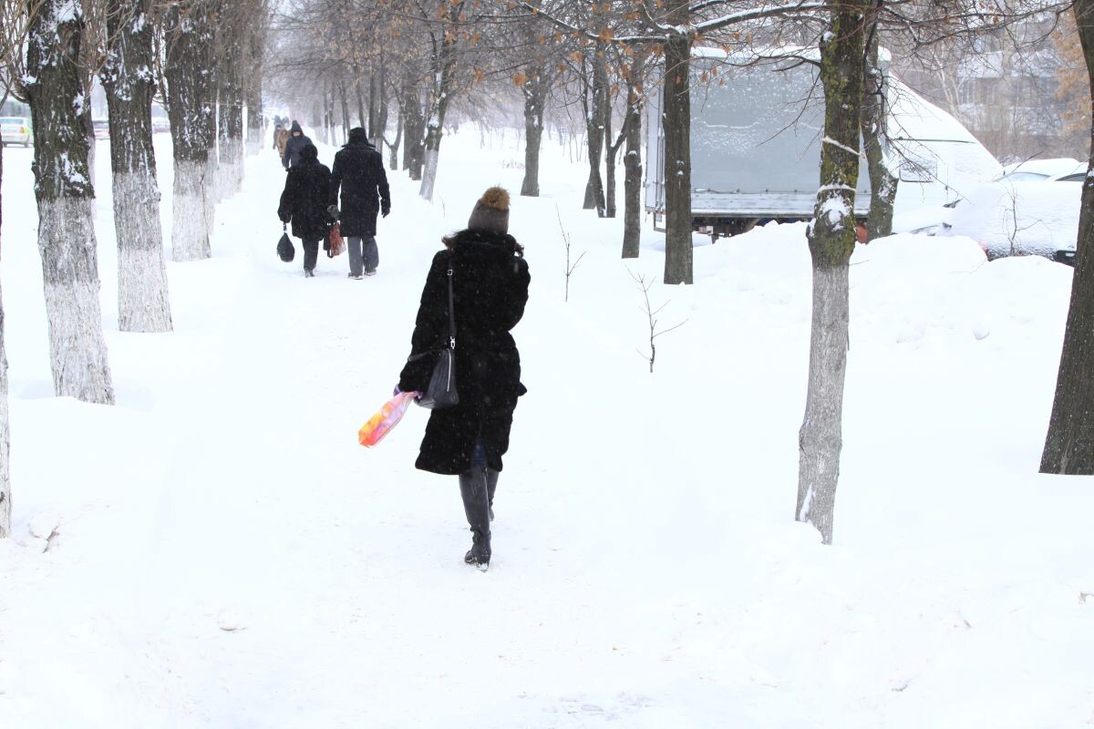    Фото: Алексей Чухланцев