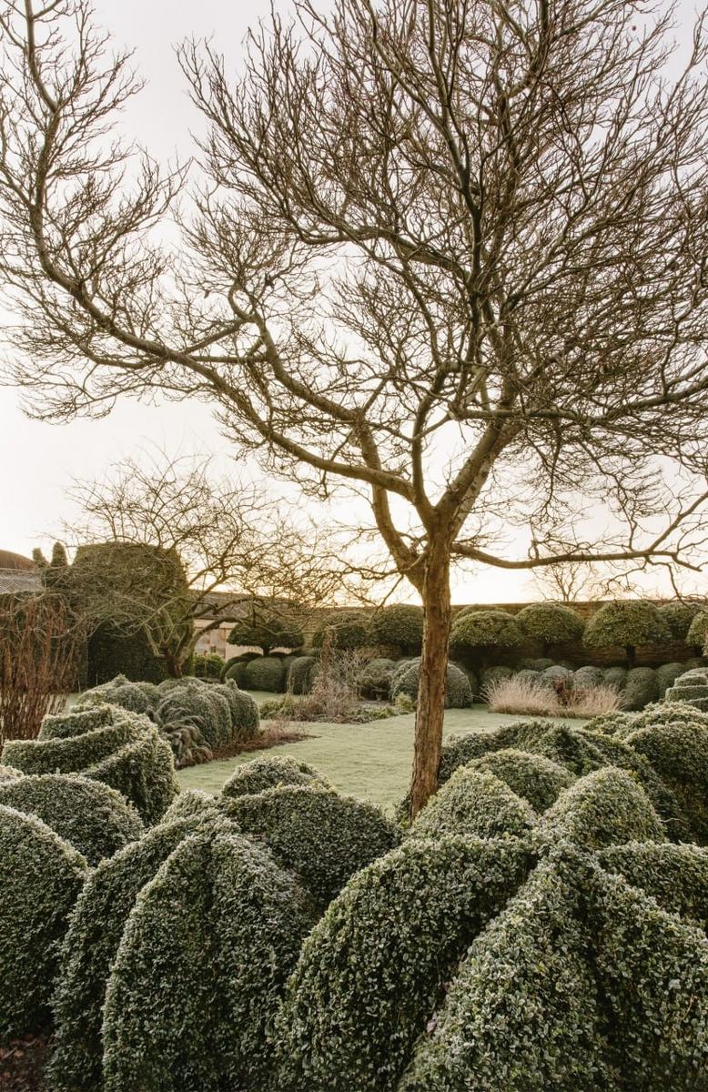 Сад Даудингов, Сомерсет, Великобритания