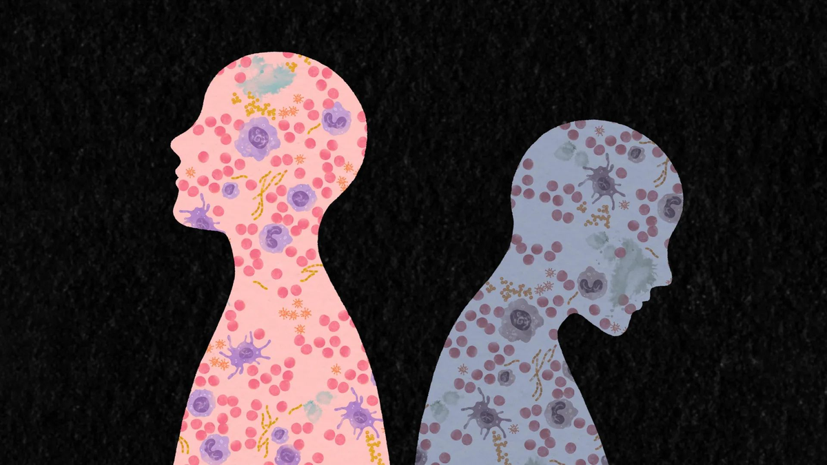 Яркий силуэт слева описывает пациента, иммунитет которого хорошо приспособлен к той же самой инфекции, с которой тёмный силуэт не в состоянии справиться. Изображение: Институт Солка.