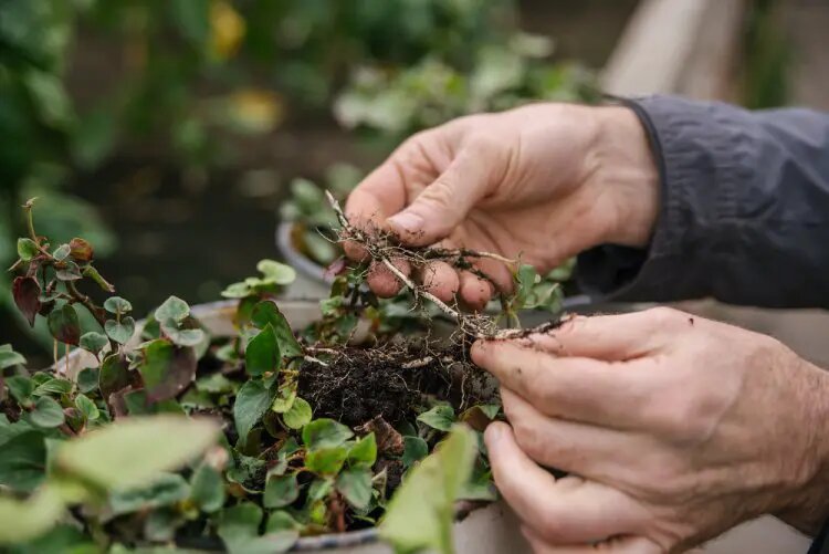    Фото: scientificrussia.ru Виктор Павлов