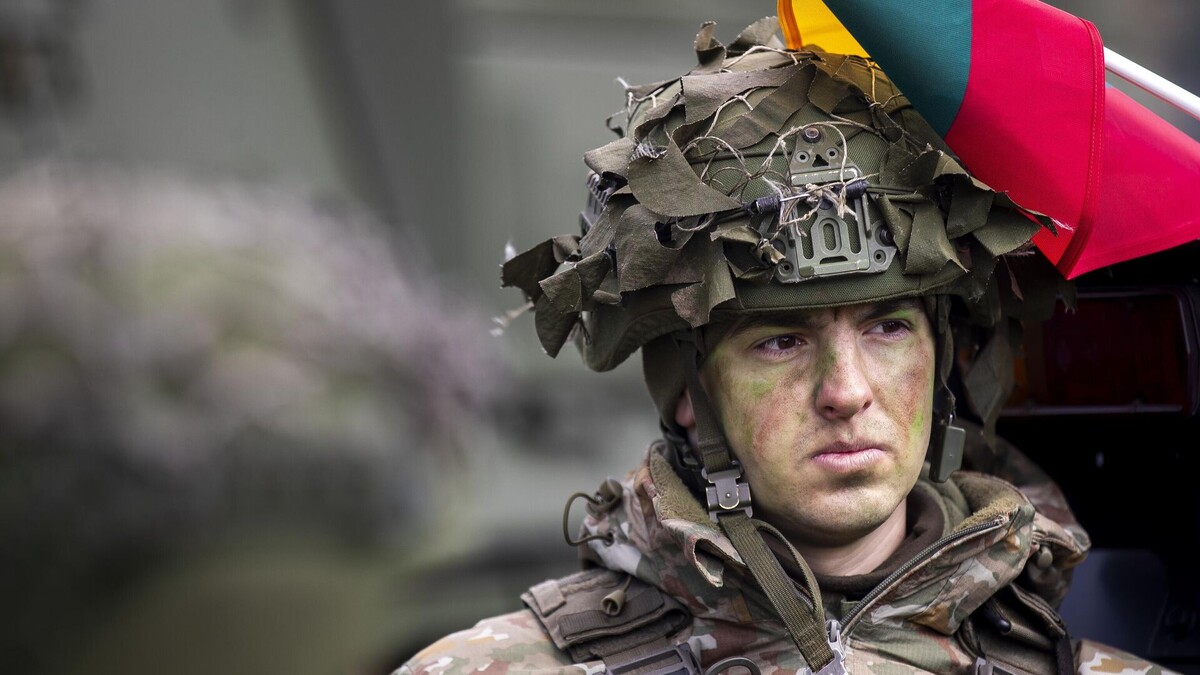    Литовский наемник