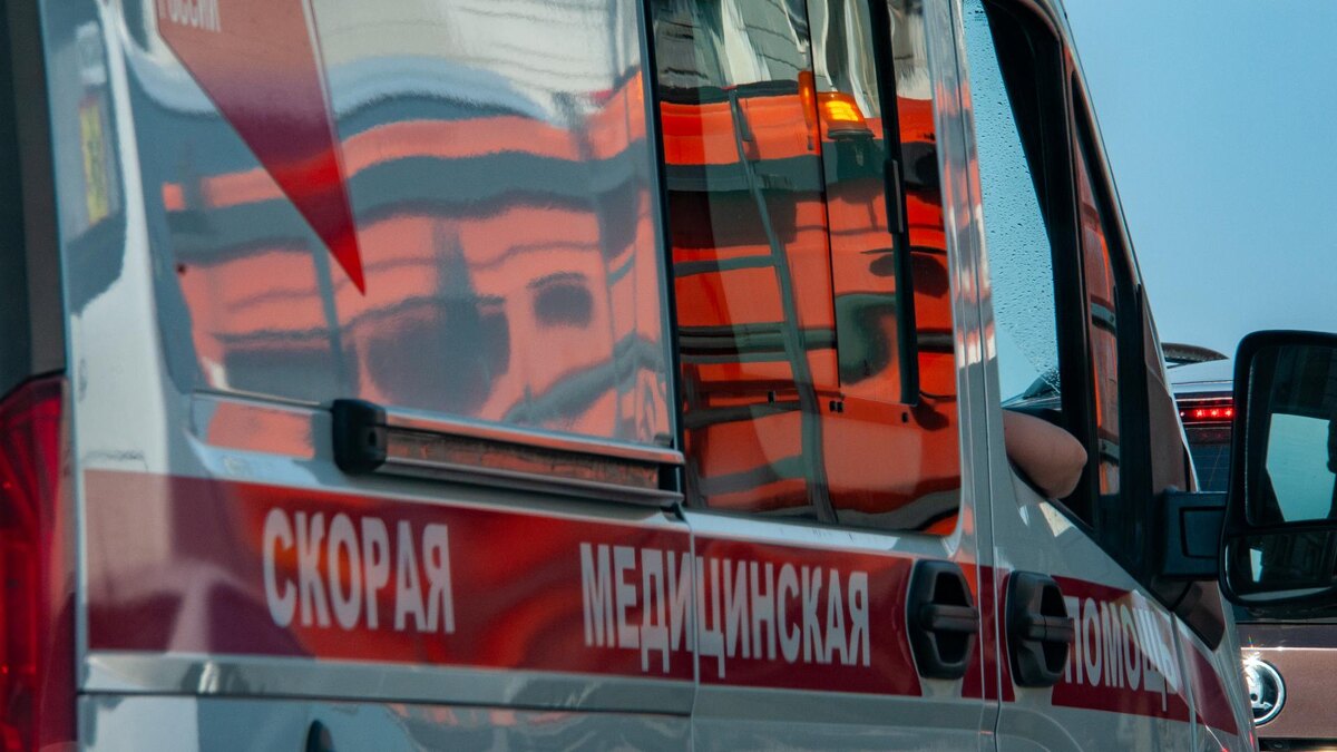    Фото: Svetlana Vozmilova/Global Look Press