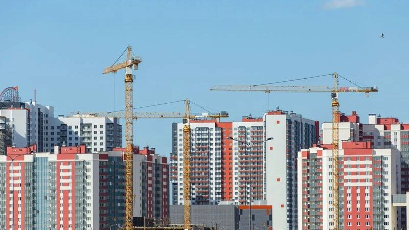    Фото: Alexey Smyshlyaev/Shutterstock/Fotodom