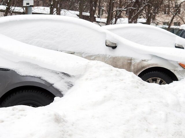    Фото: Москва 24/Александр Авилов