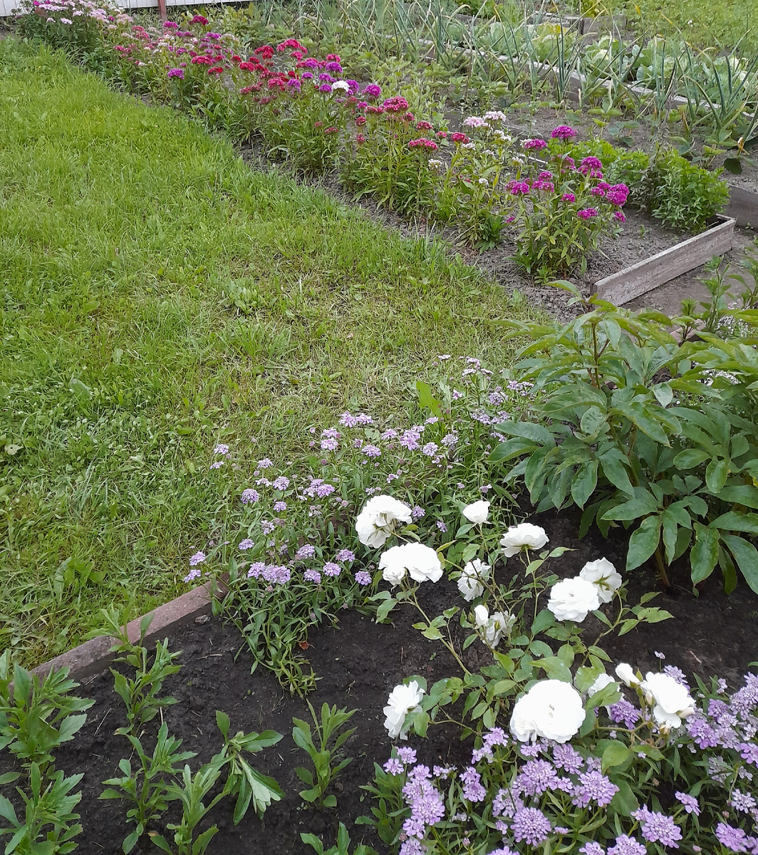 2021г. Фото автора 