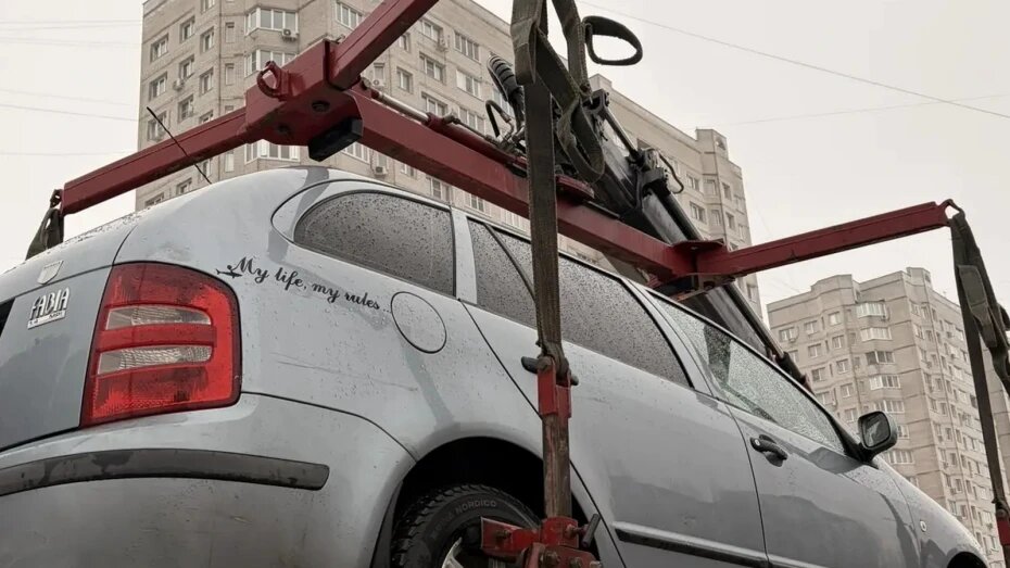    Автор фото: r36.fssp.gov.ru