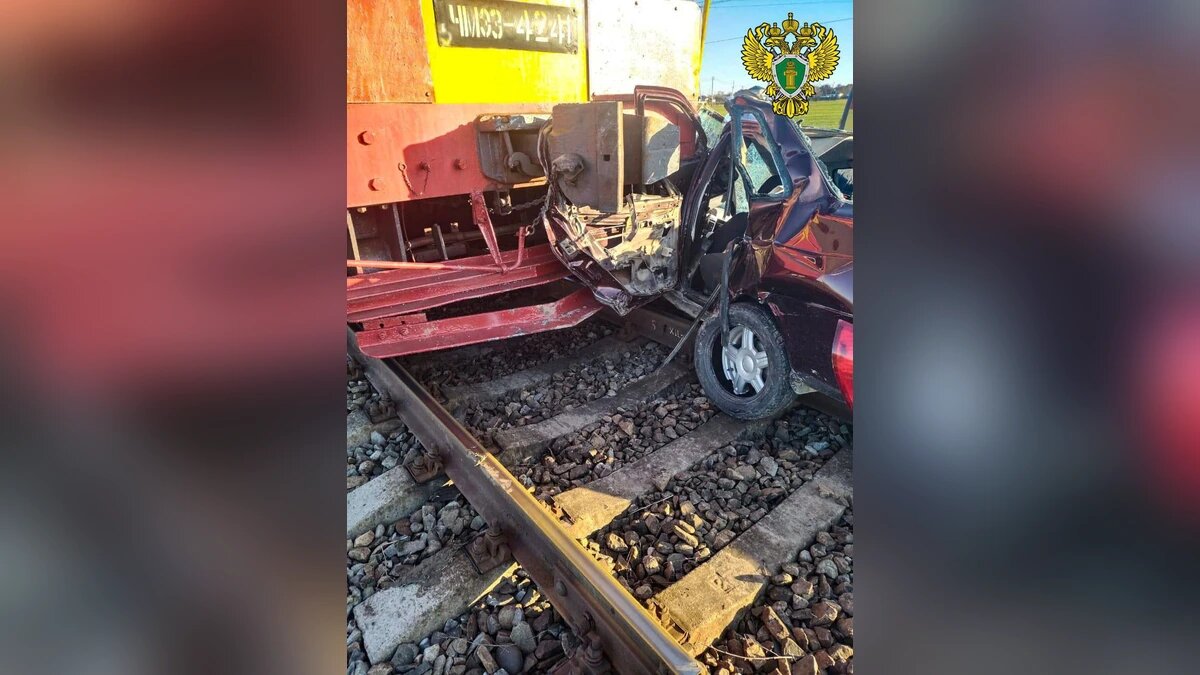    Фото t.me/prokutp