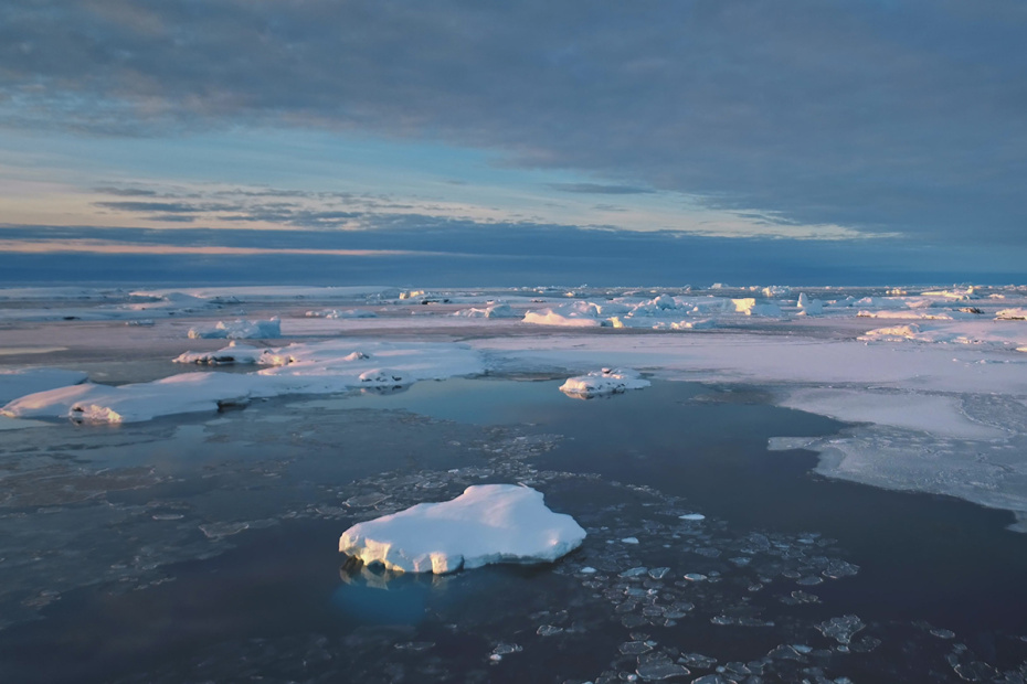    Shutterstock/FOTODOM