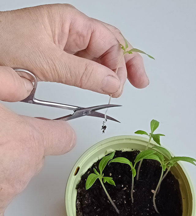 Фото из интернета, размещено в образовательных целых.